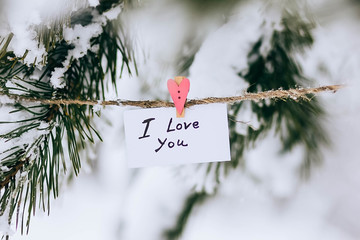 inscription I love you on card suspended on pin. the concept of Valentine's Day