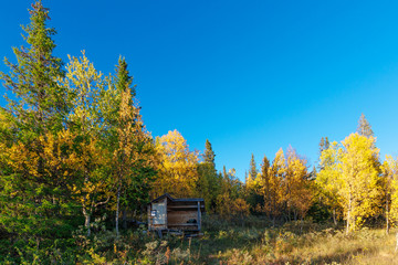 Autumn forest landscape with small hut