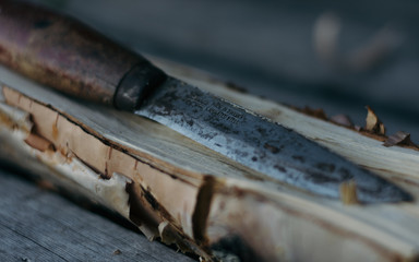 Old weathered knife on chunk of birch wood - obrazy, fototapety, plakaty