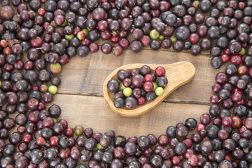 Agráz tropical fruit (Vaccinium meridionale)
