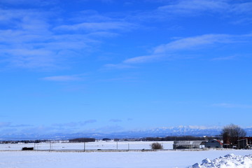 Sapporo suburbs of winter scenery