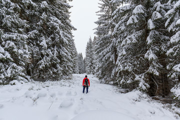 Young man in winter forest. Hiking and exploring new sites. Man vs nature concept