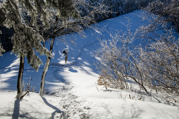 Pieniny winter path © swen_stroop