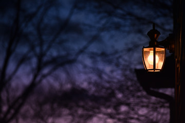 Light In The Night © Cece
