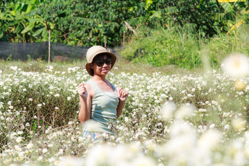 Girl in Chrysanthemum field