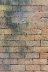 Obraz premium colourful brick wall for background