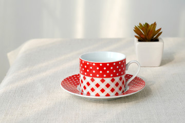 Red and white coffee cup and small tree pot on  table