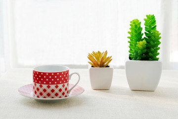 Red and white coffee cup and small tree pots on  table