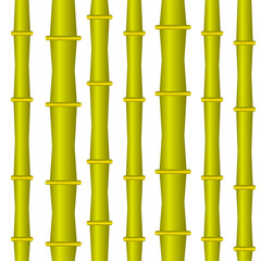 Bamboo bright stem. Vector illustration