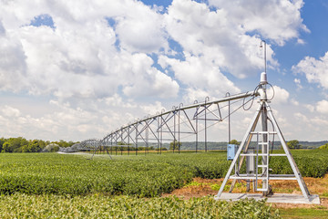 A soybean field in the American Midwest is watered by a center pivot irrigation system under a cloudy blue sky. - 133725696