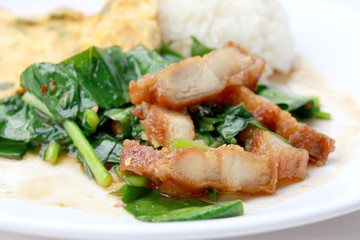 Stir fried kale with crispy pork and Thai Omelette with rice in white dish iIsolated on white background, Thai Food