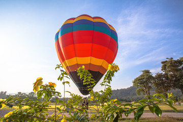 Fototapeta premium you can fly away in the sky with hot air balloon.Hot air balloons are something special in comparison to other forms of flight.As the balloon rises