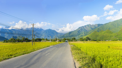 Fototapeta na wymiar Rural road in Vietnam