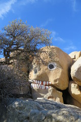 Desert Skull
