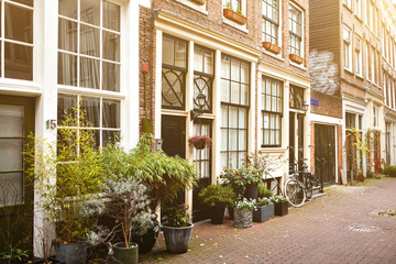 Beautiful street with houses decorated with plants in the capital of the Netherlands - Amsterdam. European-style housing.