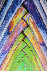 Stems of the stems palm Aligned in rows