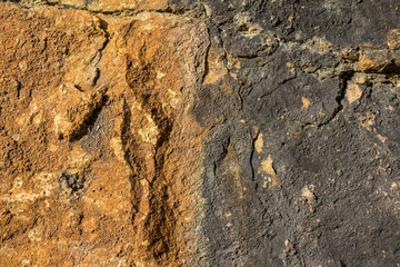 Brown soil texture