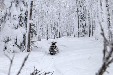 Snowmobile in forest