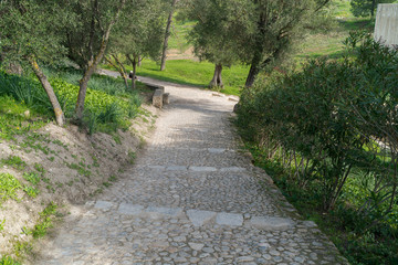 stone stairs
