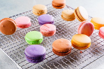 colorful macaroons