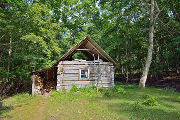 Cabin in forest 3