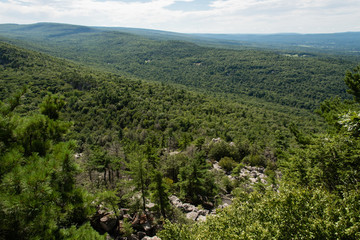 Mohonk Preserve in the summer