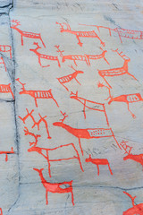Rock carvings depicting a big herd of reindeers. Alta rock art, Norway