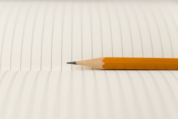 Pencil on the pages of an open notebook for records