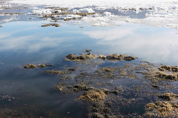 Obraz premium Algae and ice on the thawing lake in the spring, Baikal, Siberia