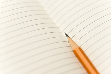 Pencil on the pages of an open notebook for records