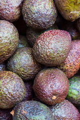 Avocados on a market