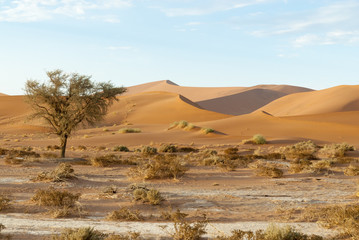 Fototapeta na wymiar Dünen in der Namib Wüste, Namibia