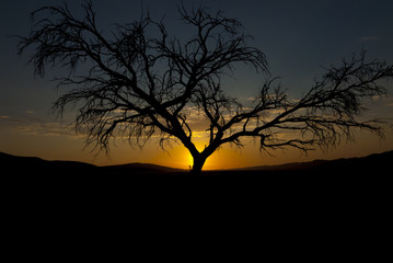 Sonnenuntergang in der Namib Wüste, Namibia