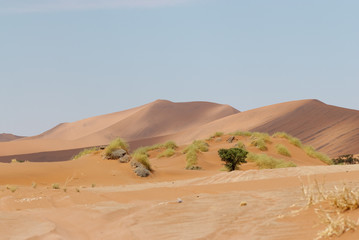 Fototapeta na wymiar Namib Wüste, Namibia