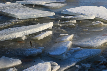 Frozen Danube river full of ice near Belgrade, Zemun, Serbia