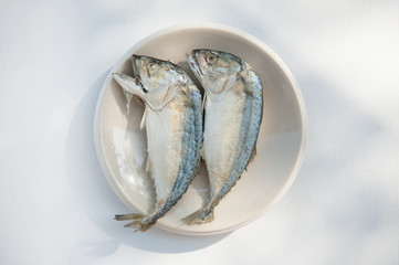mackerel