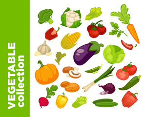 Vector healthy vegetables icons set.
