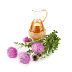 Thistle oil and milk thistle flower.
