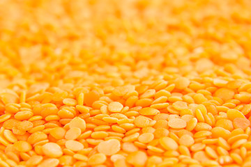 Red purified lentil macro background. Healthy protein food.