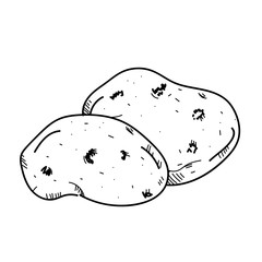 Freehand drawing illustration vegetable Potato.