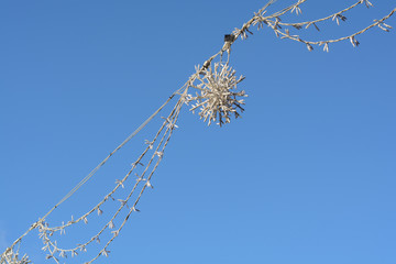 Weihnachtsdekoration am Himmel