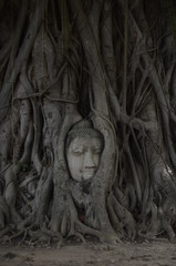 Fototapeta na wymiar Wat Mahathat in Ayutthaya / Thailand 