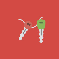 Keys icon. flat design