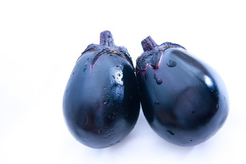 丸茄子