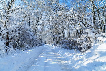 Winter landscape with a road in Romania