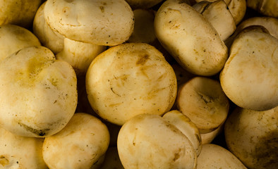 Background of the champignon mushrooms on a wooden table