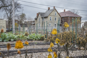 Urban Farming Initiative Michigan