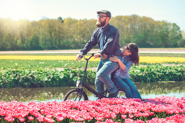 Couple cycling through tulip field - 133753845
