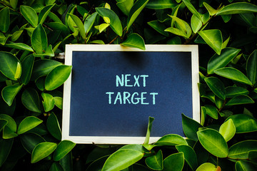 mini blackboard over the green nature written Next Target