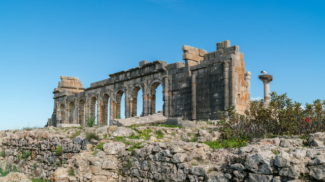 Volubilis near Meknes in Morocco.
